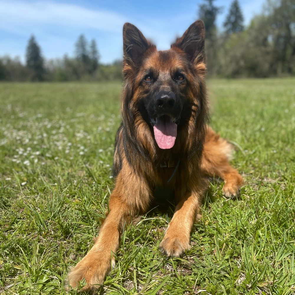 Meet your Posher, Natasha